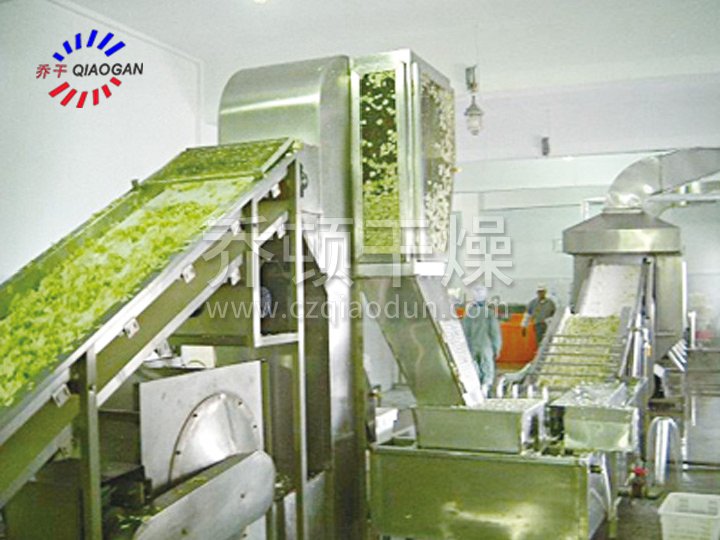 脫水蔬（shū）菜帶式幹燥（zào）機
